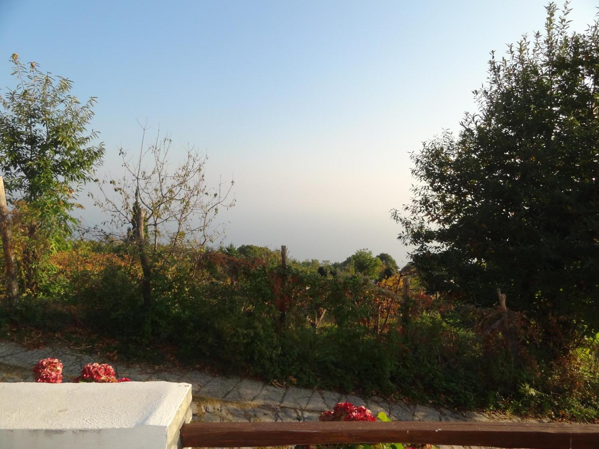 Villa Enallaxis Agios Dimitrios Quarto foto